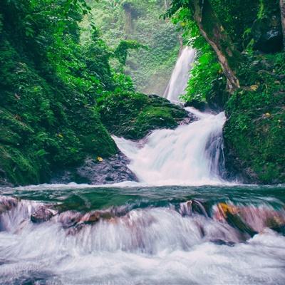 全民大航海手游下载