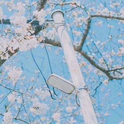 当了个岛主手游红包版下载